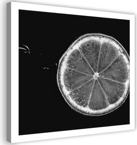 Obraz na plátně Černá Bílá Lemon - 30x30 cm