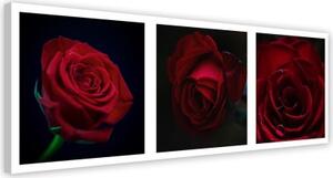 Obraz na plátně Sada červených růží - 150x50 cm