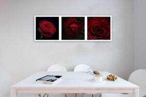 Obraz na plátně Sada červených růží - 90x30 cm