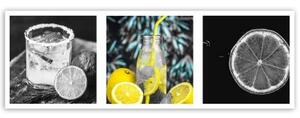 Obraz na plátně Nápoj s citronem Panorama - 150x50 cm