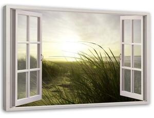 Obraz na plátně Pohled z okna Plážová tráva - 100x70 cm