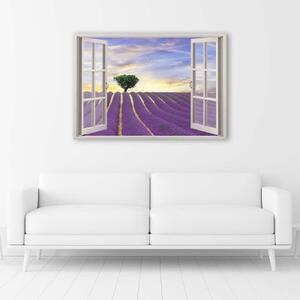 Obraz na plátně Pohled z okna Levandulové pole - 60x40 cm