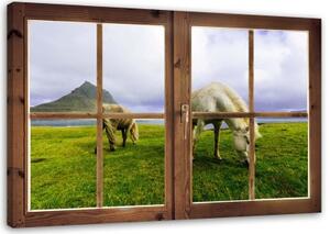 Obraz na plátně Výhled z okna na koňskou louku - 120x80 cm