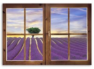 Obraz na plátně Pohled z okna Levandulové pole - 60x40 cm