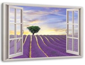 Obraz na plátně Výhled z okna Levandulové pole - 120x80 cm
