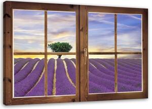 Obraz na plátně Pohled z okna Levandulové pole - 90x60 cm