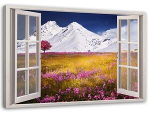 Obraz na plátně Pohled z okna Květná hora Laka - 60x40 cm