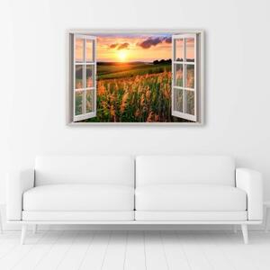 Obraz na plátně Okenní květiny Louka - 60x40 cm