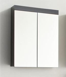 Koupelnová skříňka se zrcadlem AMANDA, 2 dveře, 60 x 17 x 77 cm, matná šedá, závěsná, TRENDTEAM