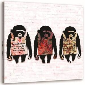 Obraz na plátně Banksyho barevný s opicí - 40x40 cm