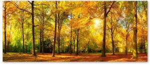 Obraz na plátně Lesní podzimní žluté panorama - 150x50 cm