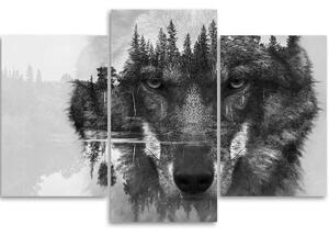 Obraz na plátně třídílný Wolf Forest černá a bílá - 150x100 cm