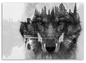 Obraz na plátně Wolf Forest černá a bílá - 60x40 cm