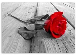 Obraz na plátně Červená růže na podlahových prknech - 60x40 cm