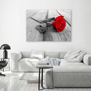 Obraz na plátně Červená růže na podlahových prknech - 60x40 cm