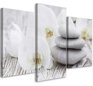 Obraz na plátně třídílný Orchid Stones Zen Spa - 120x80 cm