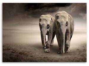Obraz na plátně Afrika Sloni - 60x40 cm