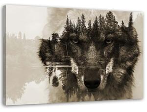 Obraz na plátně Vlk na pozadí lesní přírody - 100x70 cm