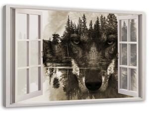 Obraz na plátně Pohled z okna Vlk Lesní Zvíře Příroda - 60x40 cm