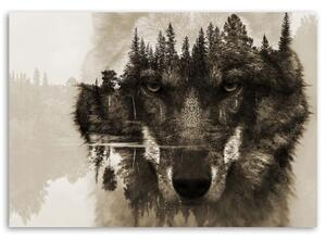 Obraz na plátně Vlk na pozadí lesní přírody - 60x40 cm