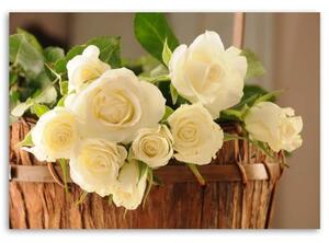 Obraz na plátně Bílé růže Květiny Příroda - 90x60 cm
