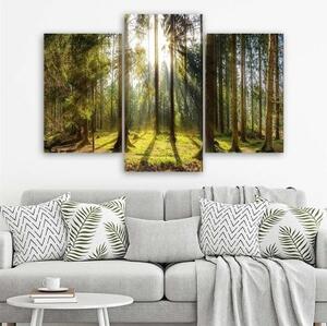 Obraz na plátně třídílný Lesní příroda Radiance - 60x40 cm