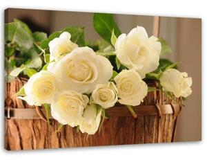 Obraz na plátně Bílé růže Květiny Příroda - 90x60 cm