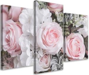Obraz na plátně třídílný Růžové růže Květina Příroda - 60x40 cm