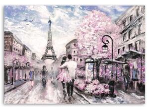 Obraz na plátně Růžový olej Paris City - 60x40 cm