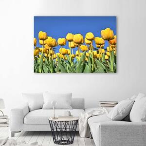 Obraz na plátně Tulipány Květiny Příroda Žlutý - 60x40 cm