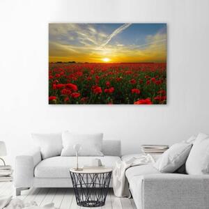 Obraz na plátně Červené máky při západu slunce - 120x80 cm