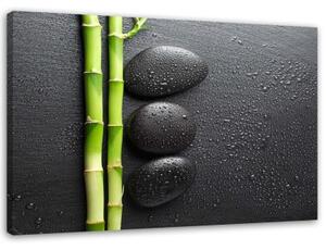 Obraz na plátně Bambusové kameny Zen Stones Black - 100x70 cm