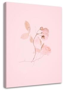 Obraz na plátně Květinový minimalismus Příroda Růžová - 70x100 cm