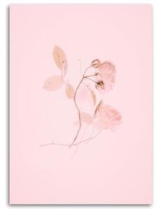 Obraz na plátně Květinový minimalismus Příroda Růžová - 40x60 cm