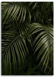 Obraz na plátně Monstera Palm Leaves Botanické - 40x60 cm