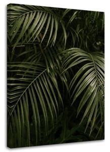 Obraz na plátně Monstera Palm Leaves Botanické - 60x90 cm