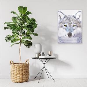 Obraz na plátně Vlk šedý Příroda Zvířata - 40x60 cm