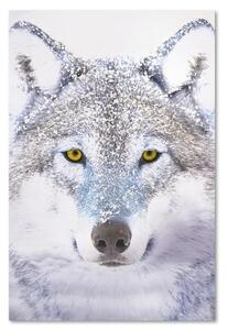 Obraz na plátně Vlk šedý Příroda Zvířata - 70x100 cm