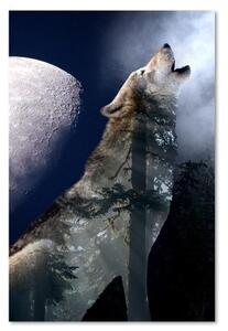 Obraz na plátně Vlk Noc Měsíc Příroda - 40x60 cm