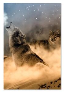 Obraz na plátně Vlk Mlha Zvířata Příroda - 40x60 cm
