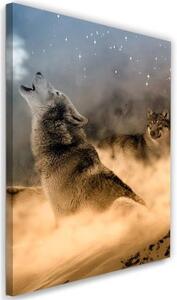 Obraz na plátně Vlk Mlha Zvířata Příroda - 60x90 cm