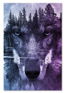 Obraz na plátně Vlk Lesní zvířata Příroda - 40x60 cm