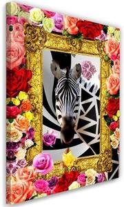 Obraz na plátně Abstraktní barevné květiny Zebra - 60x90 cm