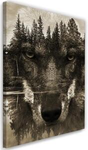 Obraz na plátně Vlk Lesní zvířata Příroda - 70x100 cm