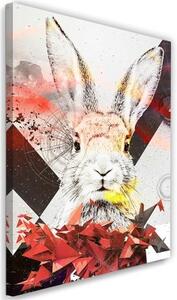 Obraz na plátně Abstraktní barevný králík - 80x120 cm