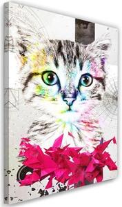 Obraz na plátně Abstraktní barevná kočka - 70x100 cm