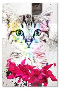 Obraz na plátně Abstraktní barevná kočka - 40x60 cm