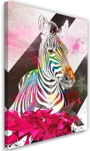 Obraz na plátně Zebra Vícebarevná abstrakce - 60x90 cm