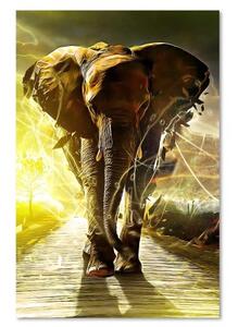 Obraz na plátně Slon na cestě Afrika - 40x60 cm