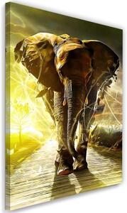 Obraz na plátně Slon na cestě Afrika - 40x60 cm